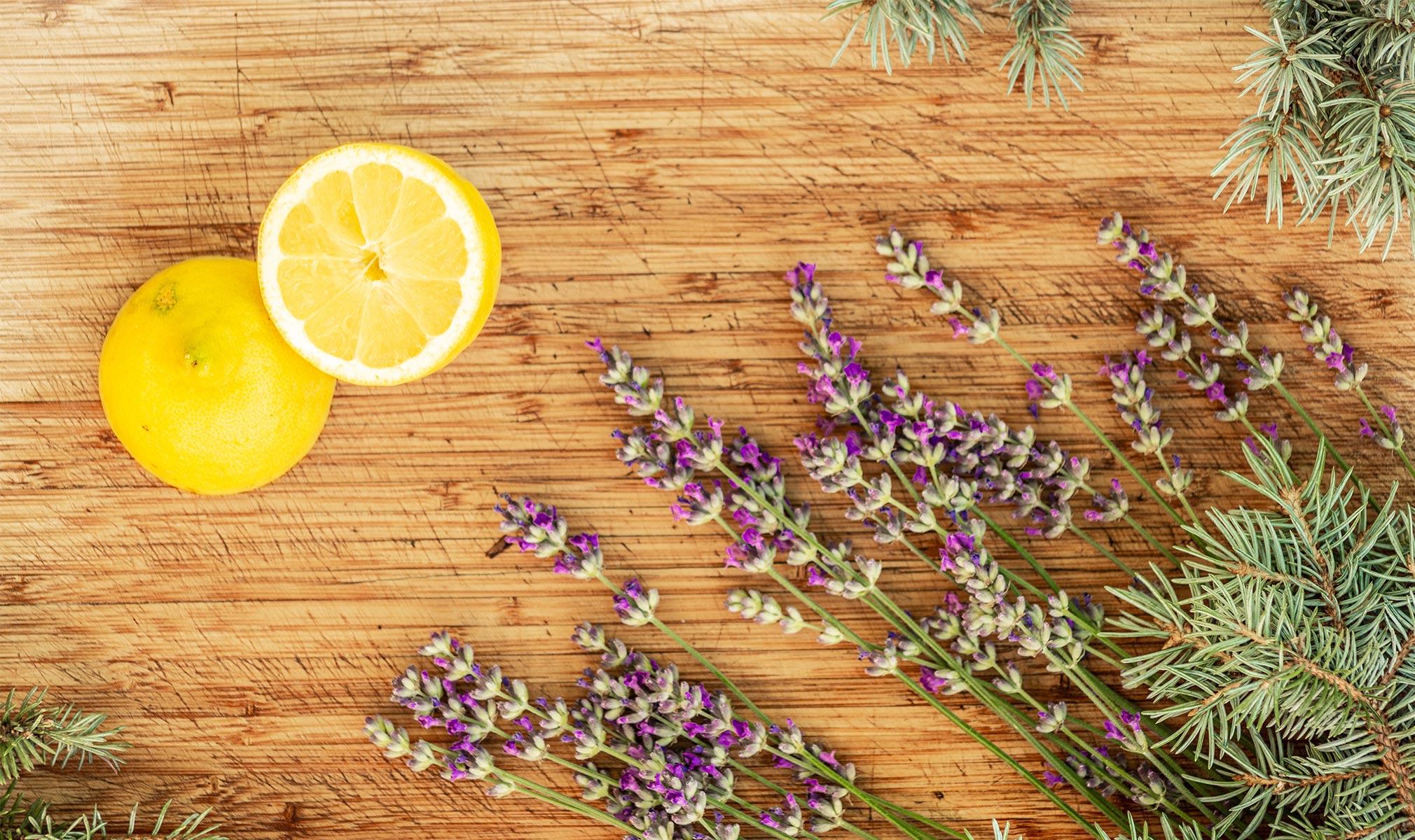 All About Terpenes A Complete Guide