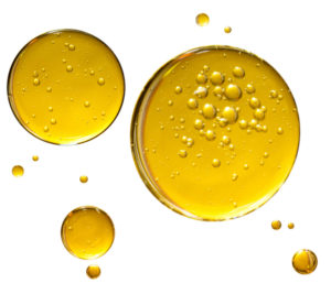 cbd vs thc@x