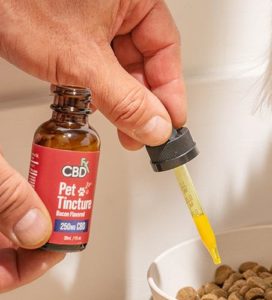 cbdfx photo lifestyle pettincture ct 