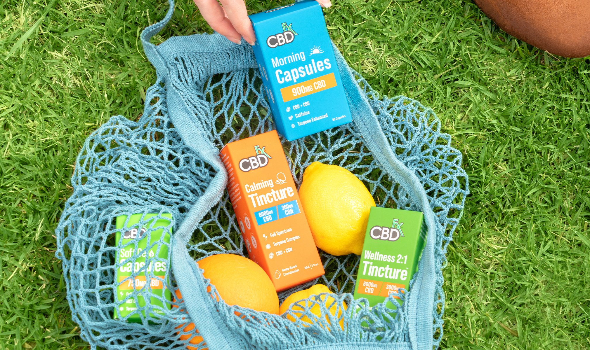 cbdfx us blog A Beginner’s Guide to CBD