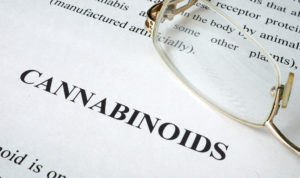 cbdfx us blog CBD and Friends Exploring Minor Cannabinoids