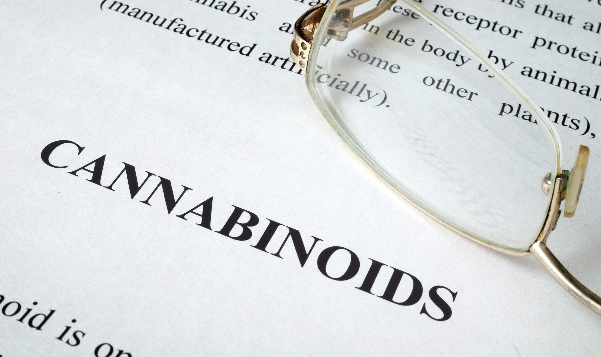 cbdfx us blog CBD and Friends Exploring Minor Cannabinoids