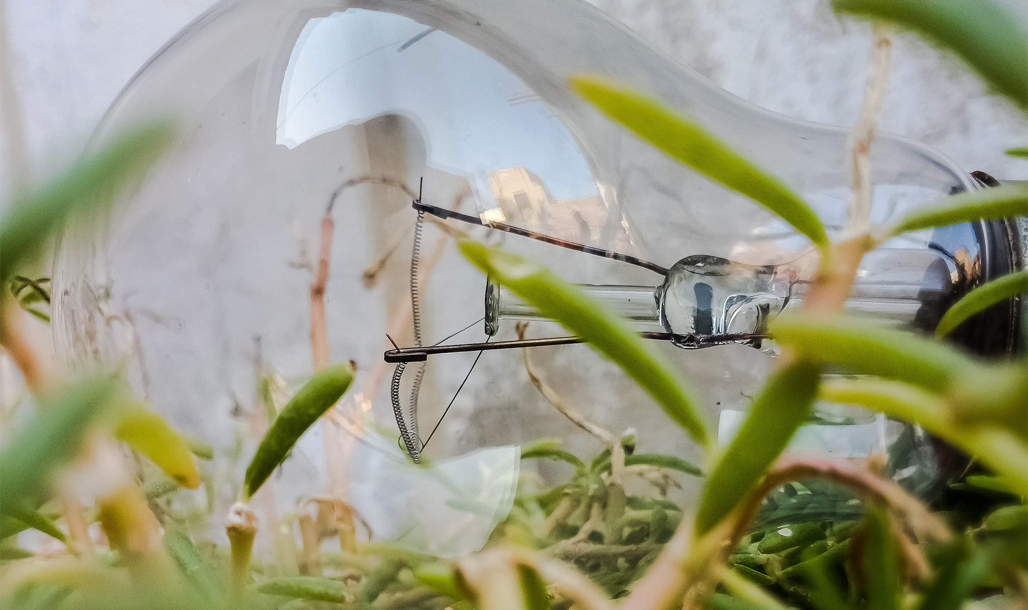 cbdfx us blog How Long Does CBD Stay Good
