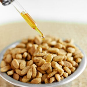 cbdfx us blog Is CBD Safe for Pets