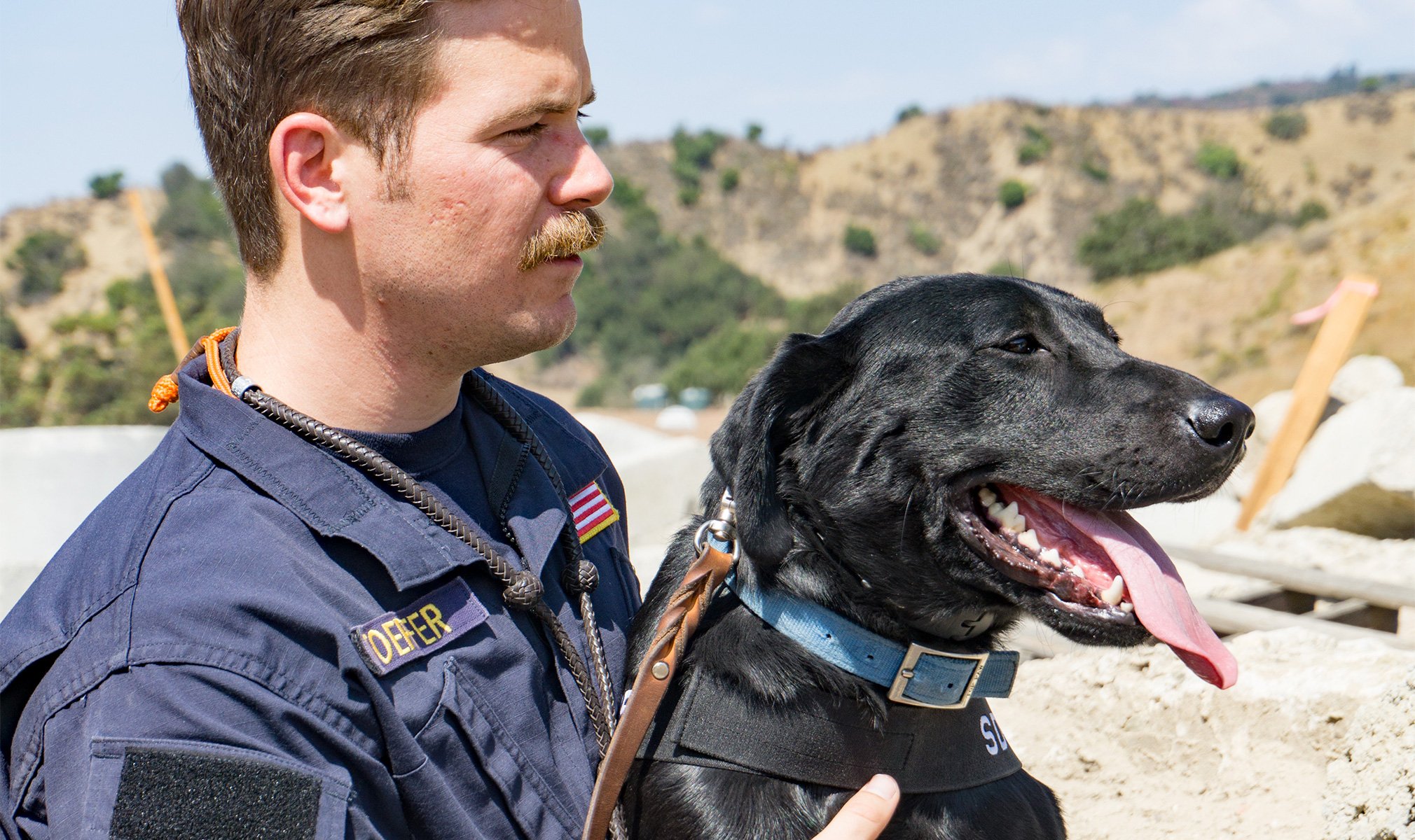 cbdfx us blog Our Mission to Help Search Dog Foundation