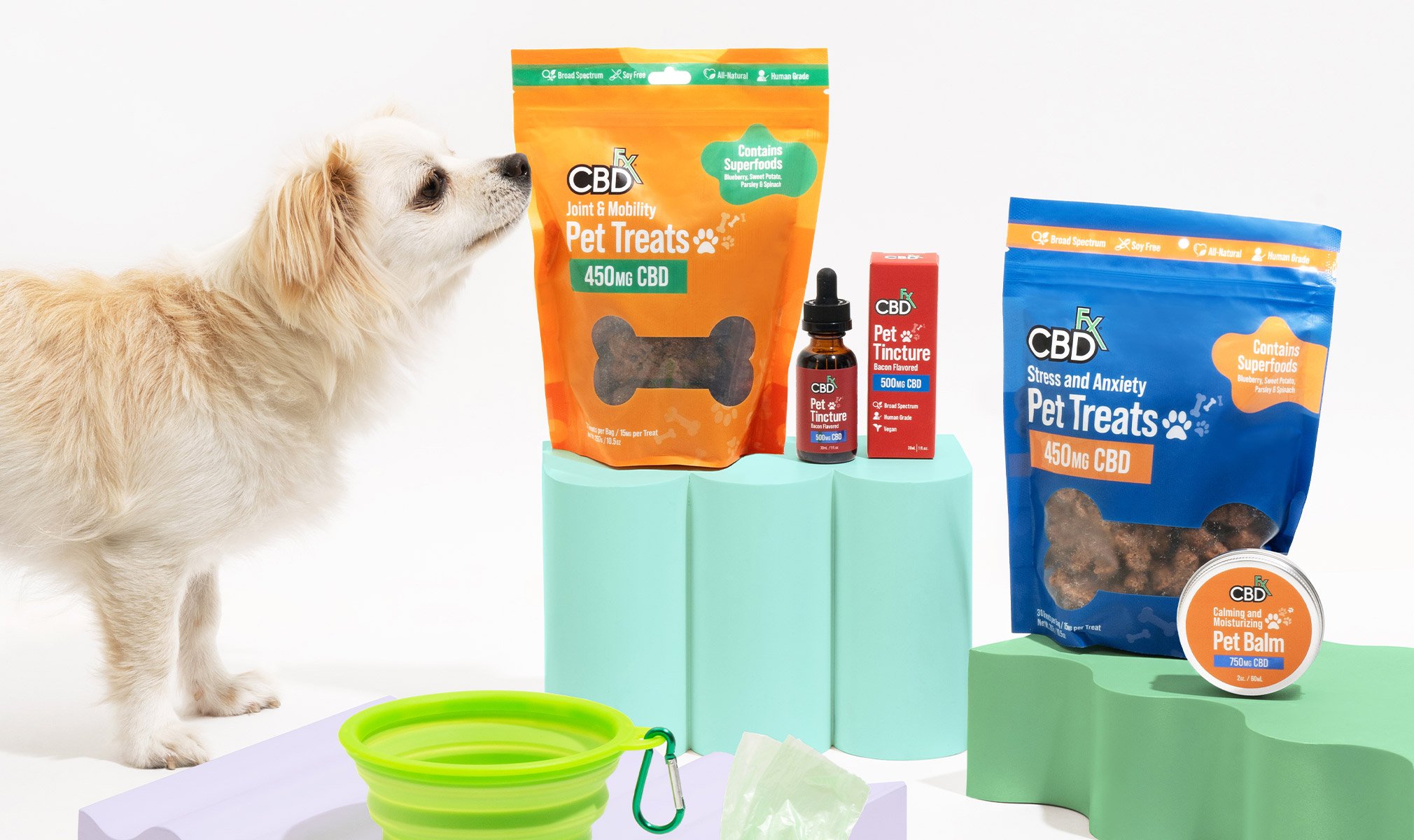 cbdfx us blog The Benefits of CBD for Pets