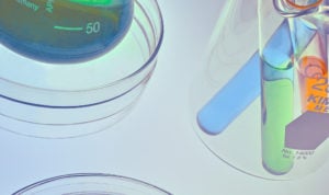 cbdfx us blog Will I Fail a Drug Test if I Take CBD