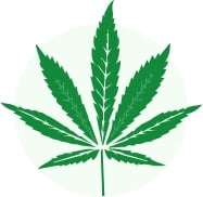 hybrid