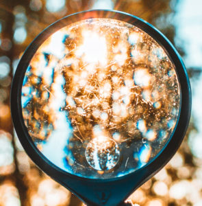 magnifying glass