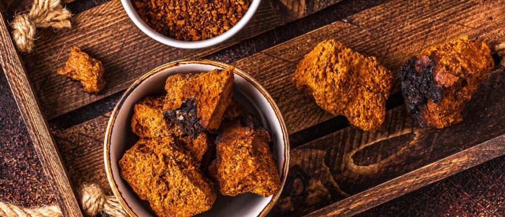 mushroom chaga hdr desktop