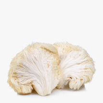 mushroom hub star player lionsmane