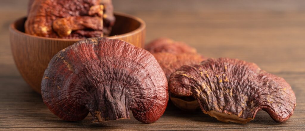 mushroom reishi hdr desktop