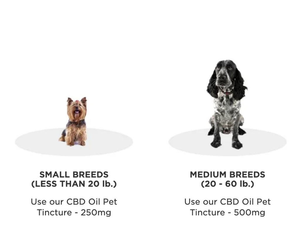 petdosage 