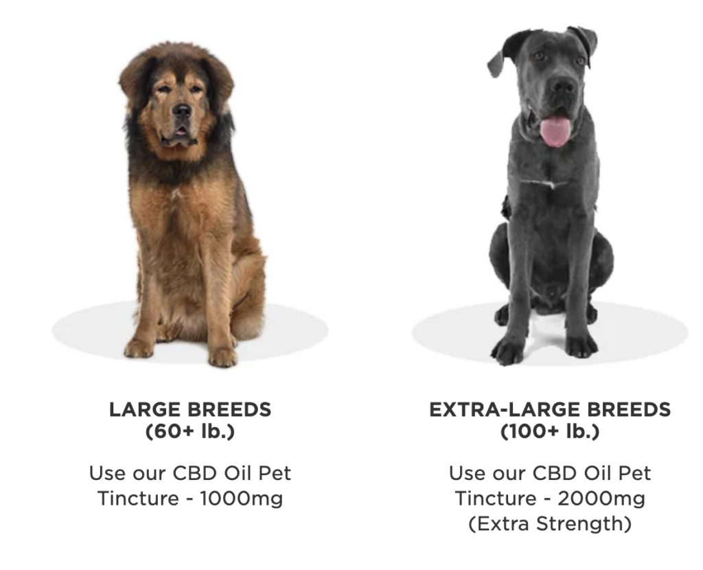petdosage 
