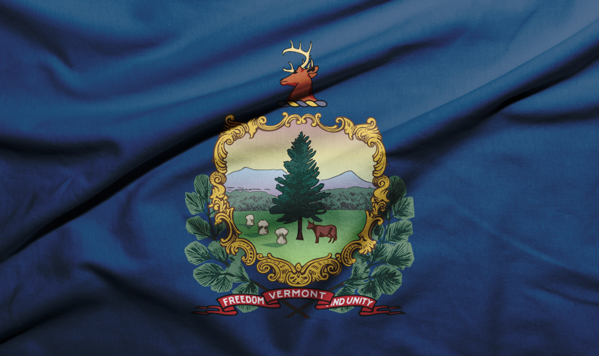 vermont flag