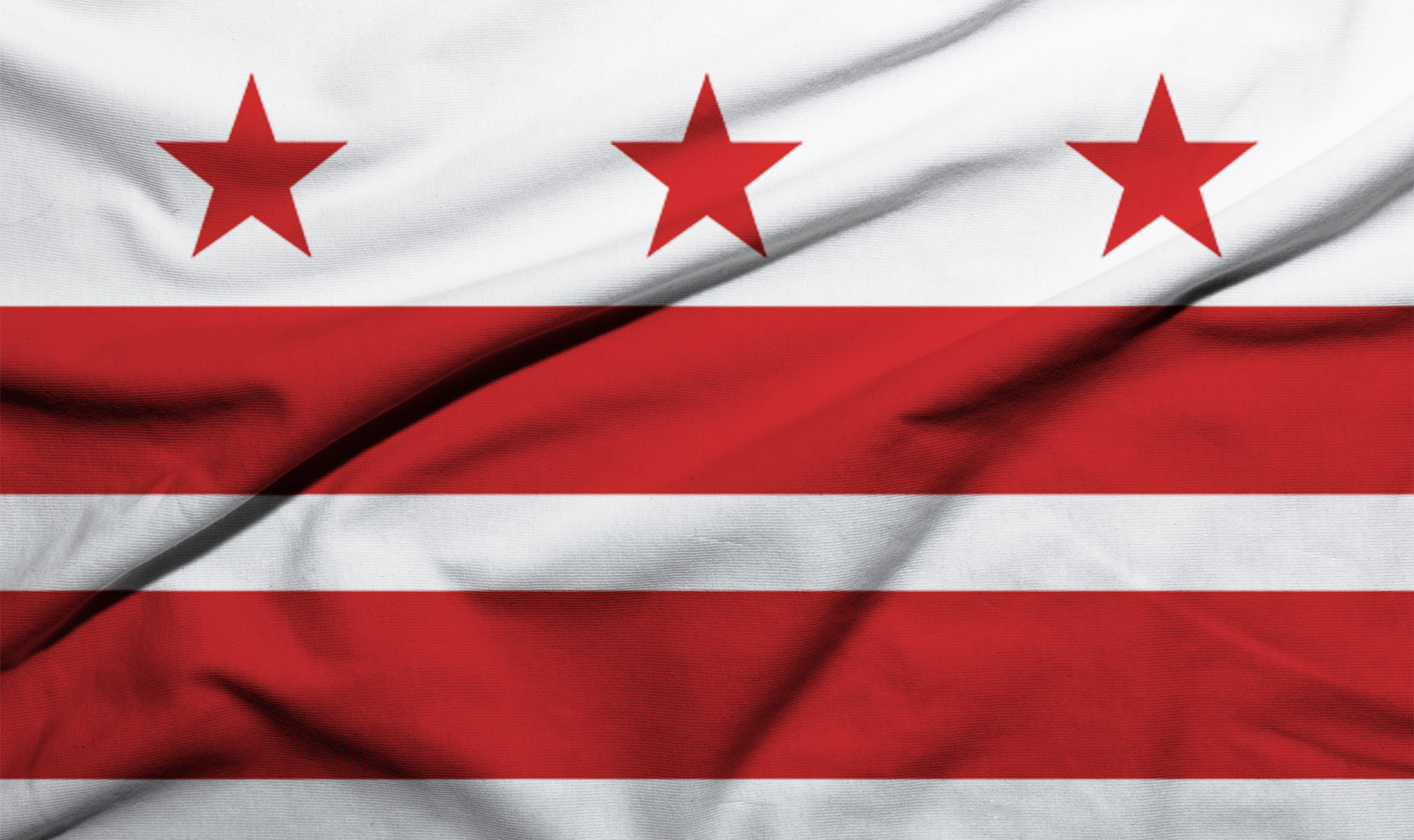 washington dc flag