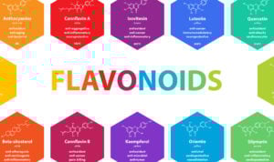 What Are Flavonoids in Cannabis