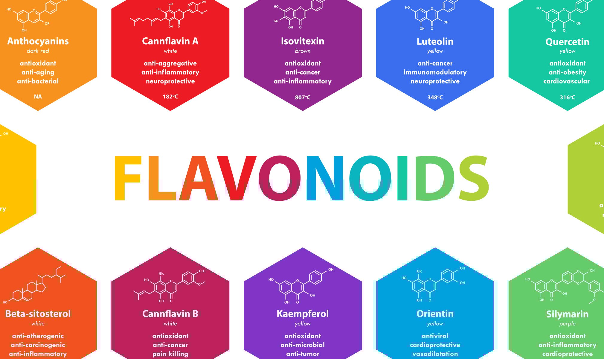 What Are Flavonoids in Cannabis