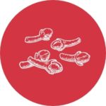 what is cbd caryophyllene@x