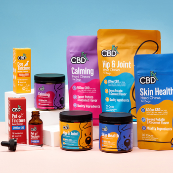 CBD for Pets