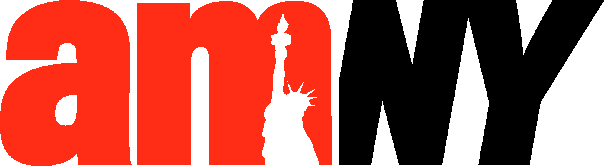amNY logo