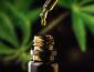 thumbnail x what is cbd